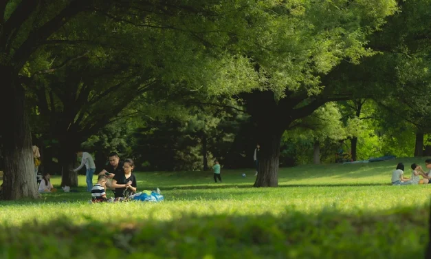 Cuidado de la familia
