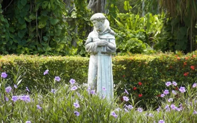 Año jubilar de San Francisco, publicado el Decreto de la Penitenciaría Apostólica