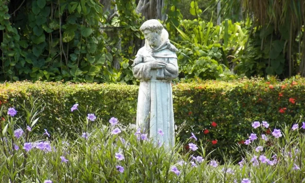 Año jubilar de San Francisco, publicado el Decreto de la Penitenciaría Apostólica