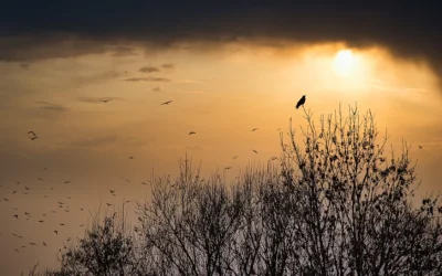 A 15 meses del asesinato del padre Marcelo Pérez en Chiapas, Iglesia acusa: ‘Autores intelectuales siguen libres’