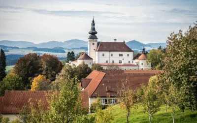 Conexiones entre imágenes e ideas