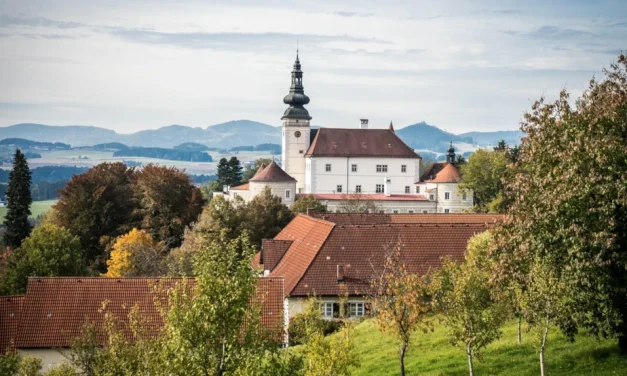 Conexiones entre imágenes e ideas