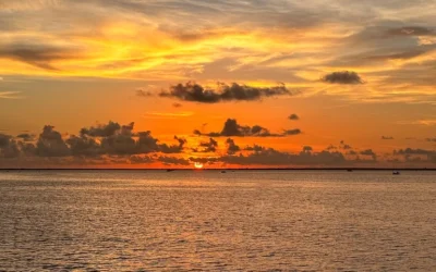 Estudiar para dialogar con la cultura actual