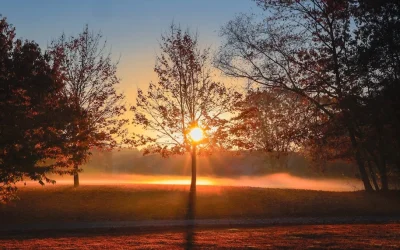 Jesús es la luz del mundo