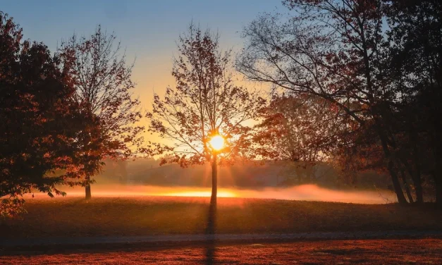 Jesús es la luz del mundo