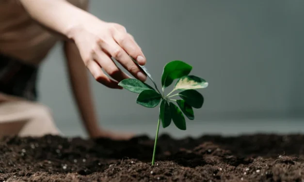 No todo depende del gobierno