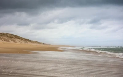 Una lección desde la otra orilla