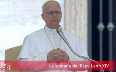 La semana del Papa León XIV