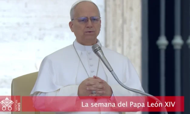 La semana del Papa León XIV