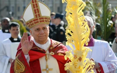Llamado del Papa León XIV contra la violencia y la guerra en Domingo de Ramos