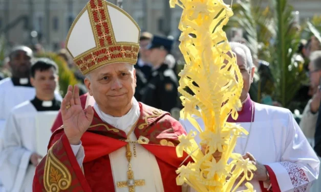 Llamado del Papa León XIV contra la violencia y la guerra en Domingo de Ramos