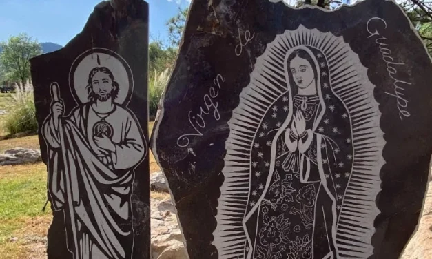 ¿En qué hemos fallado?