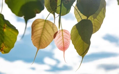 ¿Dios está con nosotros?