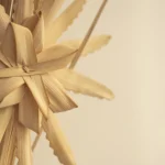 Domingo de ramos pablopbh-palma-5056665_1280