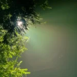 pexels-evergreen-2178702