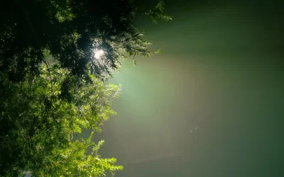 Yo soy la resurrección y la vida