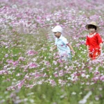 "Somos gente de primavera": El llamamiento de los Papas a la esperanza trungkhang-children-7527173