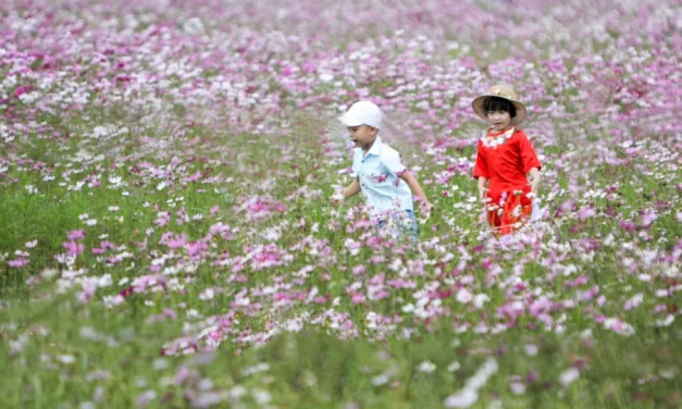 «Somos gente de primavera»: El llamamiento de los Papas a la esperanza