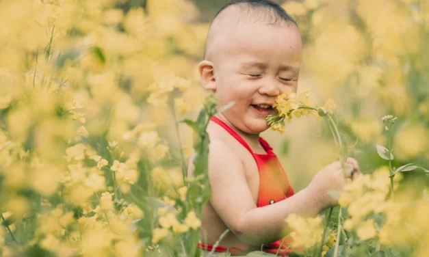 La sorpresa ante lo cotidiano