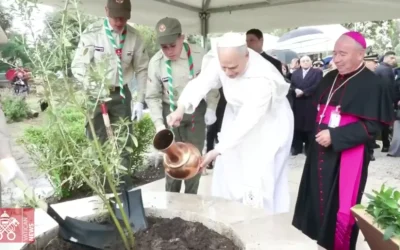 Tras las huellas de Agustín, León XIV, en silencio y oración, entre los restos de Hipona