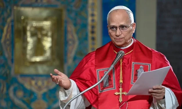 Episcopados apoyan al Papa y llaman a la paz