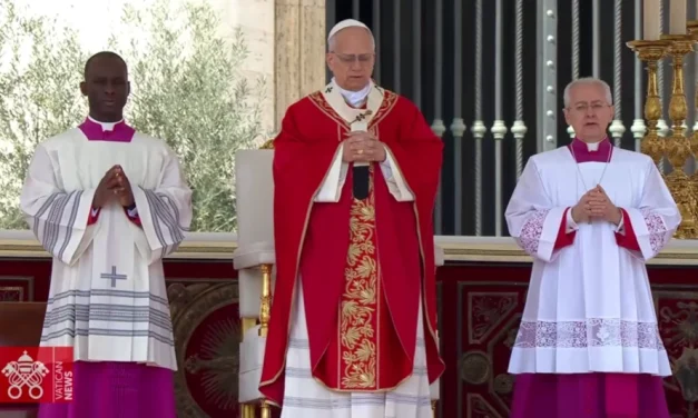 La Semana del Papa León XIV