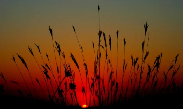 Consepultados y conresucitados con el Mesías Señor