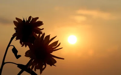 El pecado original y su Redención