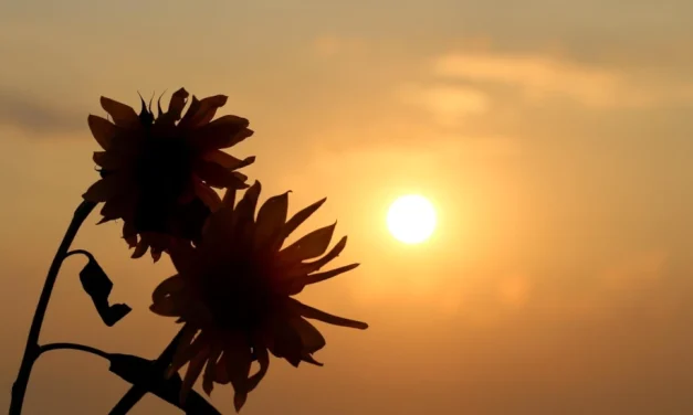 El pecado original y su Redención