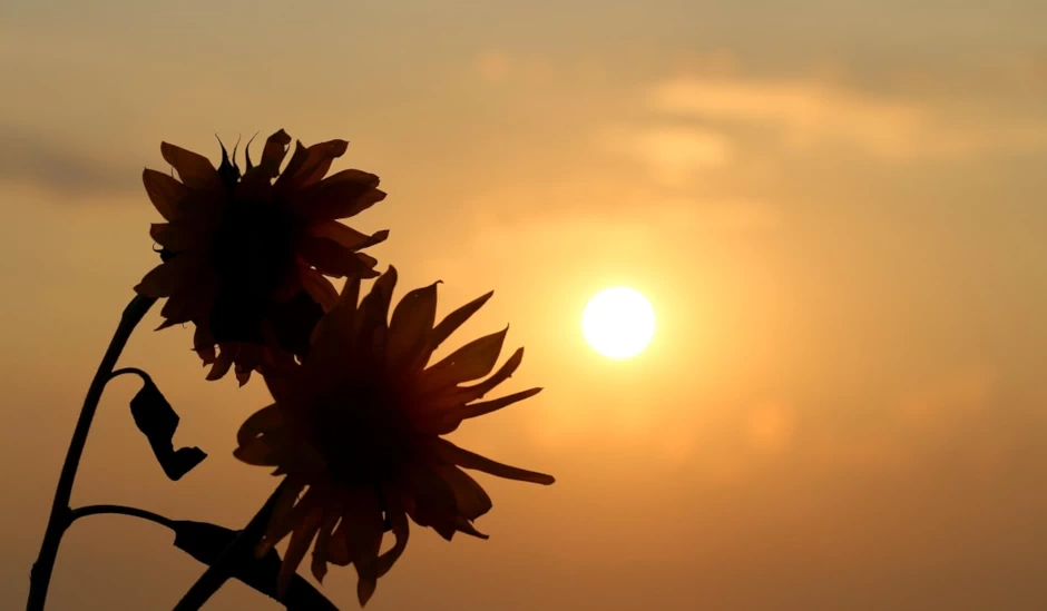 El pecado original y su Redención