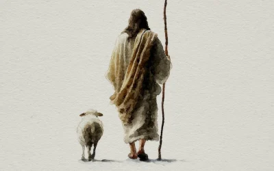 Domingo del Buen Pastor