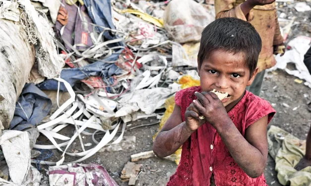 En diez años el hambre en el mundo se ha duplicado
