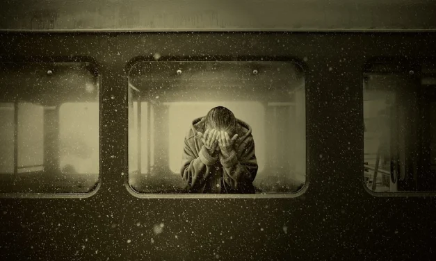 Gestionar las emociones para nuestra estabilidad