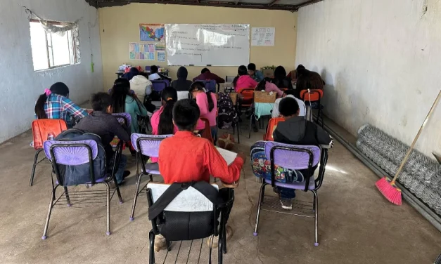 Emergencia educativa