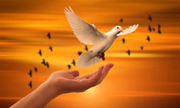 El Papa: Es inaceptable la amenaza contra todo el pueblo iraní