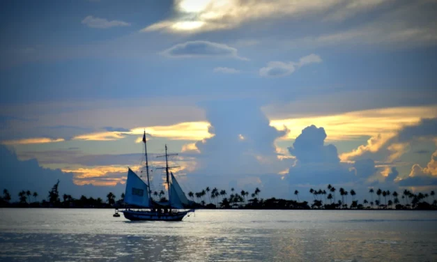 La travesía de los doce dominicos: una odisea a la Nueva España