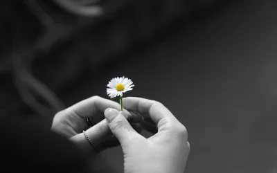 La Pascua que muchos no pudieron vivir