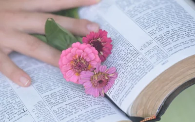 La Biblia ayuda a entender la religión y la vida