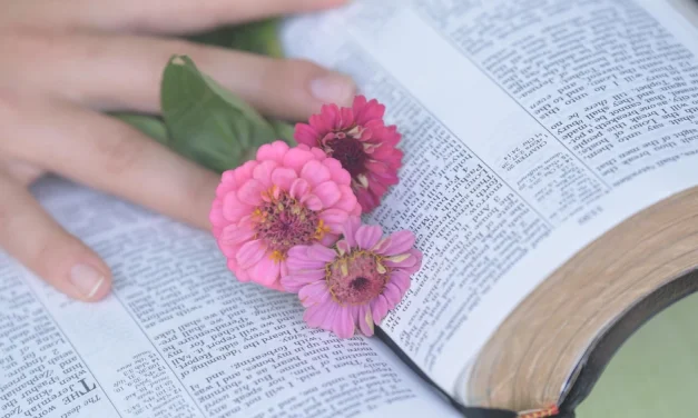 La Biblia ayuda a entender la religión y la vida