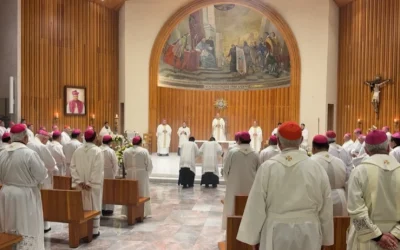 “Ante las realidades del mundo no tengan miedo”, invitan obispos de México