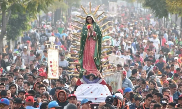 Santa María de Guadalupe: Una brújula de esperanza hacia el 2031