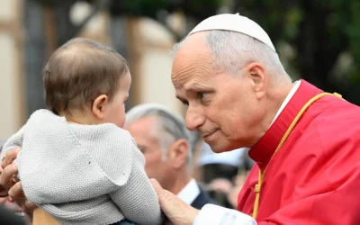 Primer año del Papa León XIV. En Cristo somos uno: testimonios de comunión