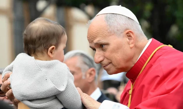 Primer año del Papa León XIV. En Cristo somos uno: testimonios de comunión