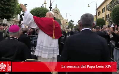La semana del Papa León XIV