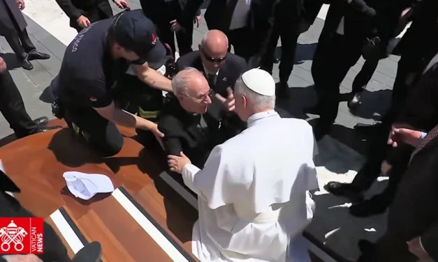 La semana del Papa León XIV