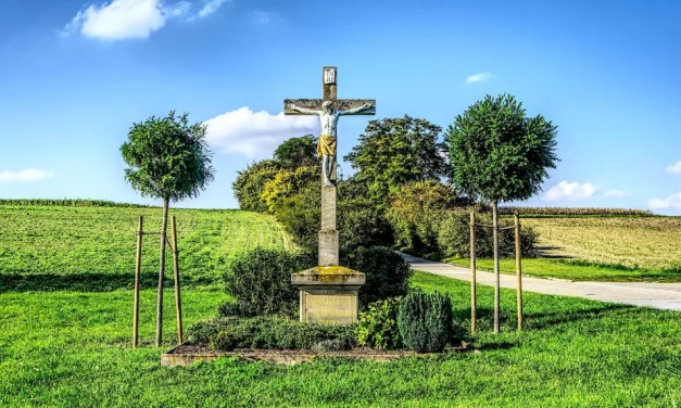 Jesús camino a seguir, verdad a proclamar, vida a vivir