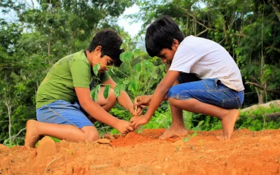 Ecología integral: una revolución que comienza desde el hogar