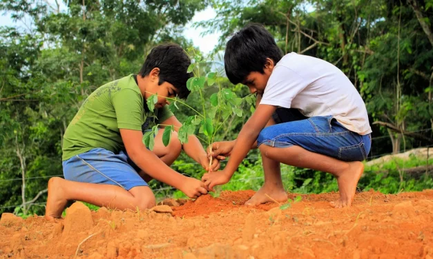 Ecología integral: una revolución que comienza desde el hogar
