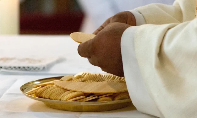Acción de Dios