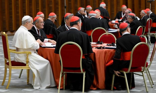 Sinodalidad: el legado eclesial del Papa Francisco que León XIV está llamado a consolidar